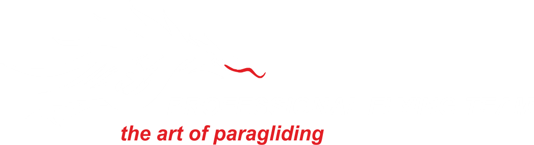 Profly Logo